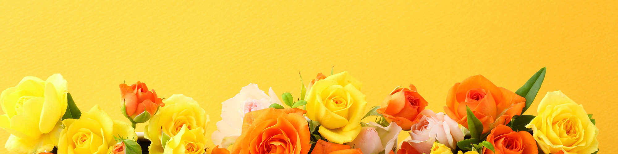 イメージ イメージ